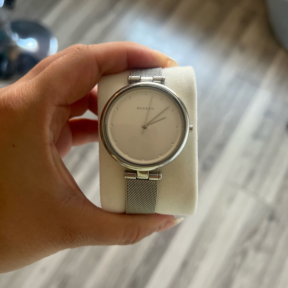 Skagen mesh watch